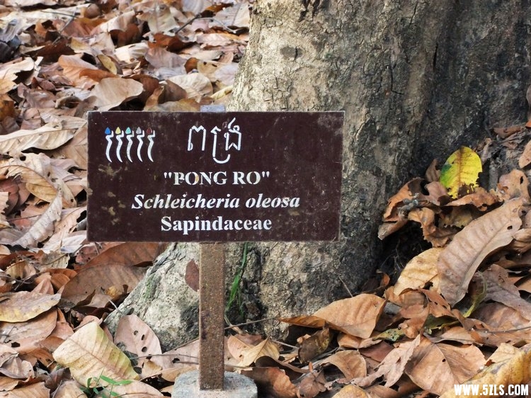 DSCF7352.JPG