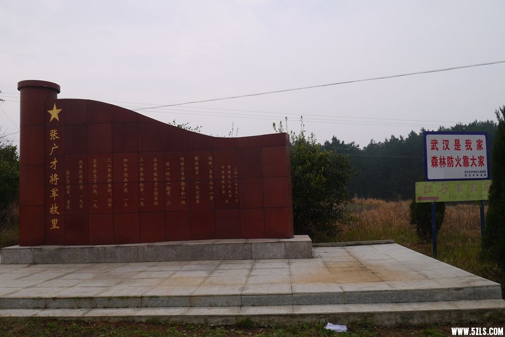 P1120914_.jpg