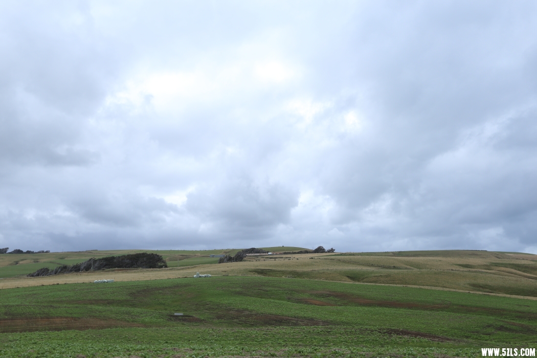 _MG_1260.JPG