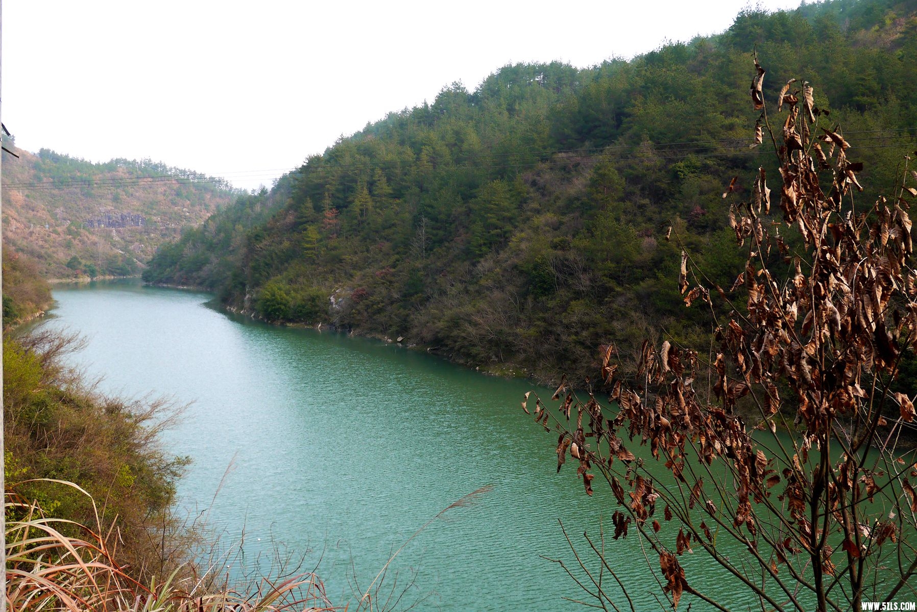 P1120669_.jpg