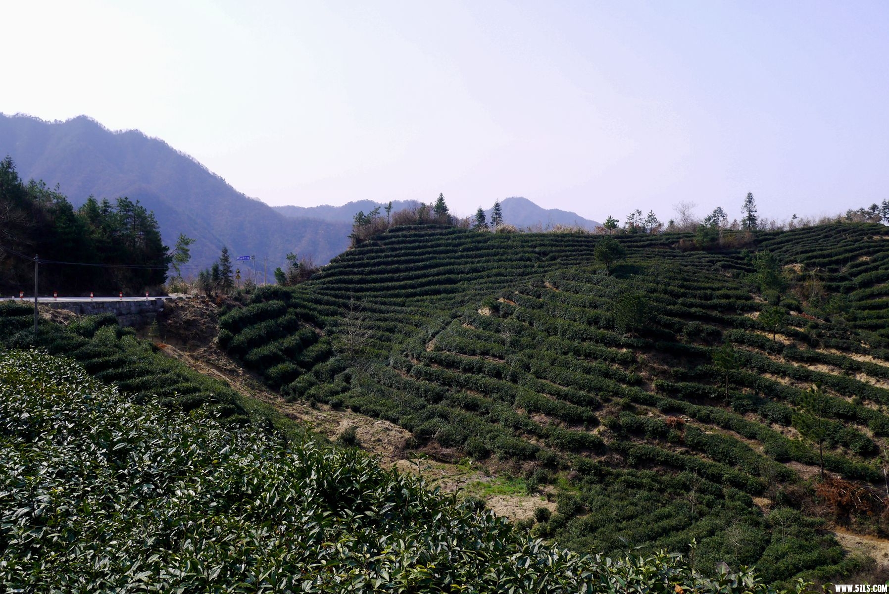 P1120682_.jpg