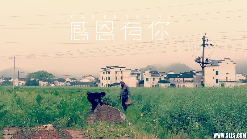 MA201504061012380091-04-02b303000.jpg