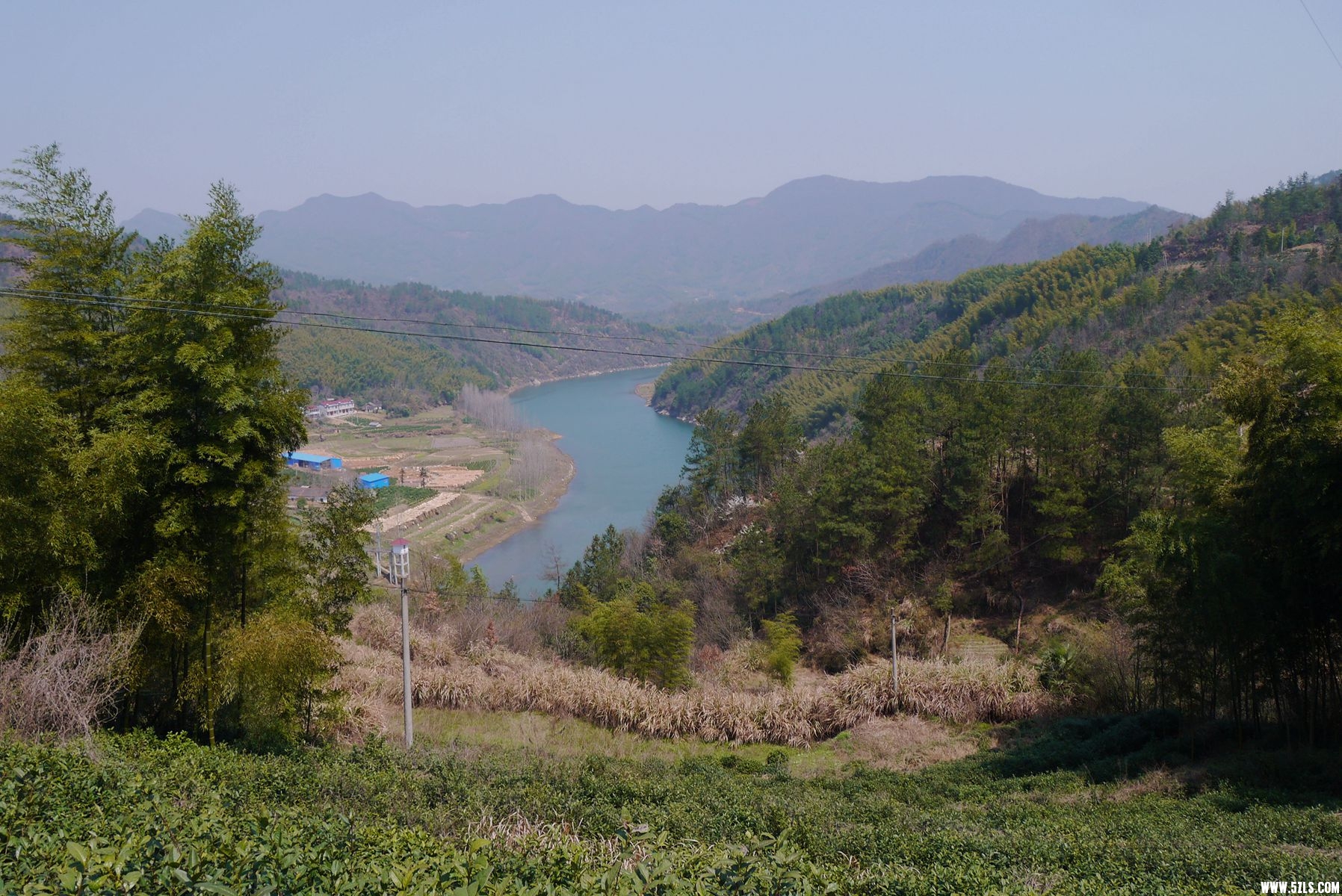P1120704_.jpg