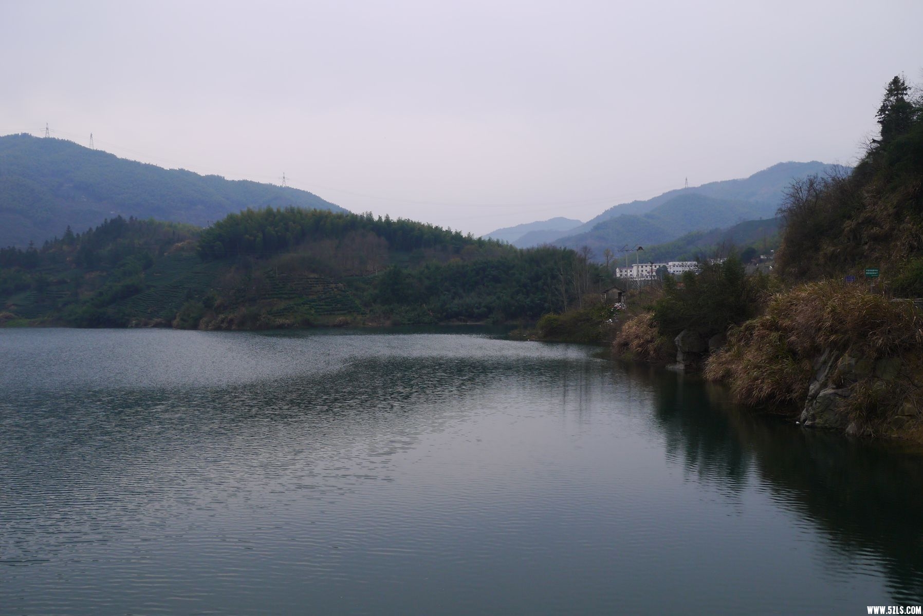 P1120718_.jpg