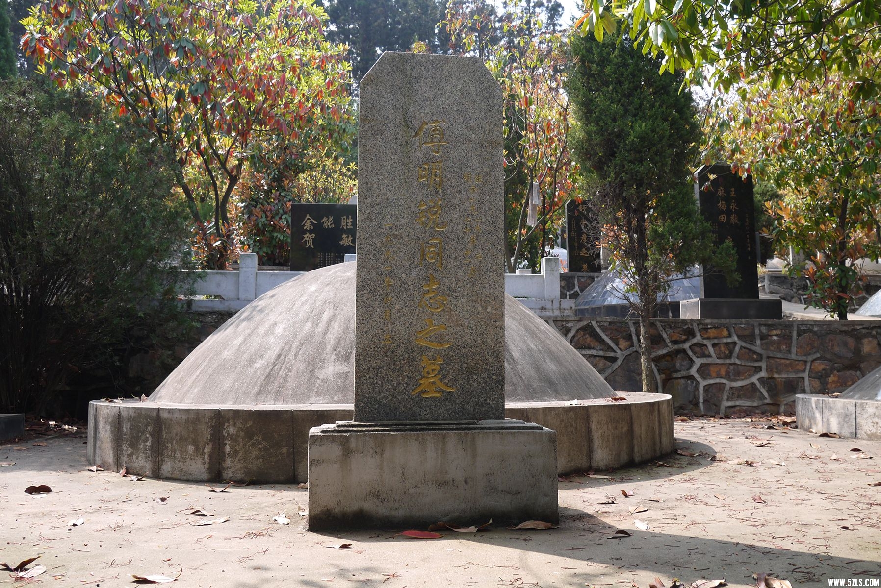 P1120753_.jpg