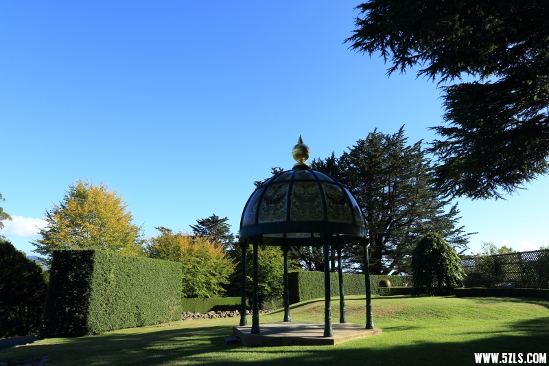 C08A9490.JPG