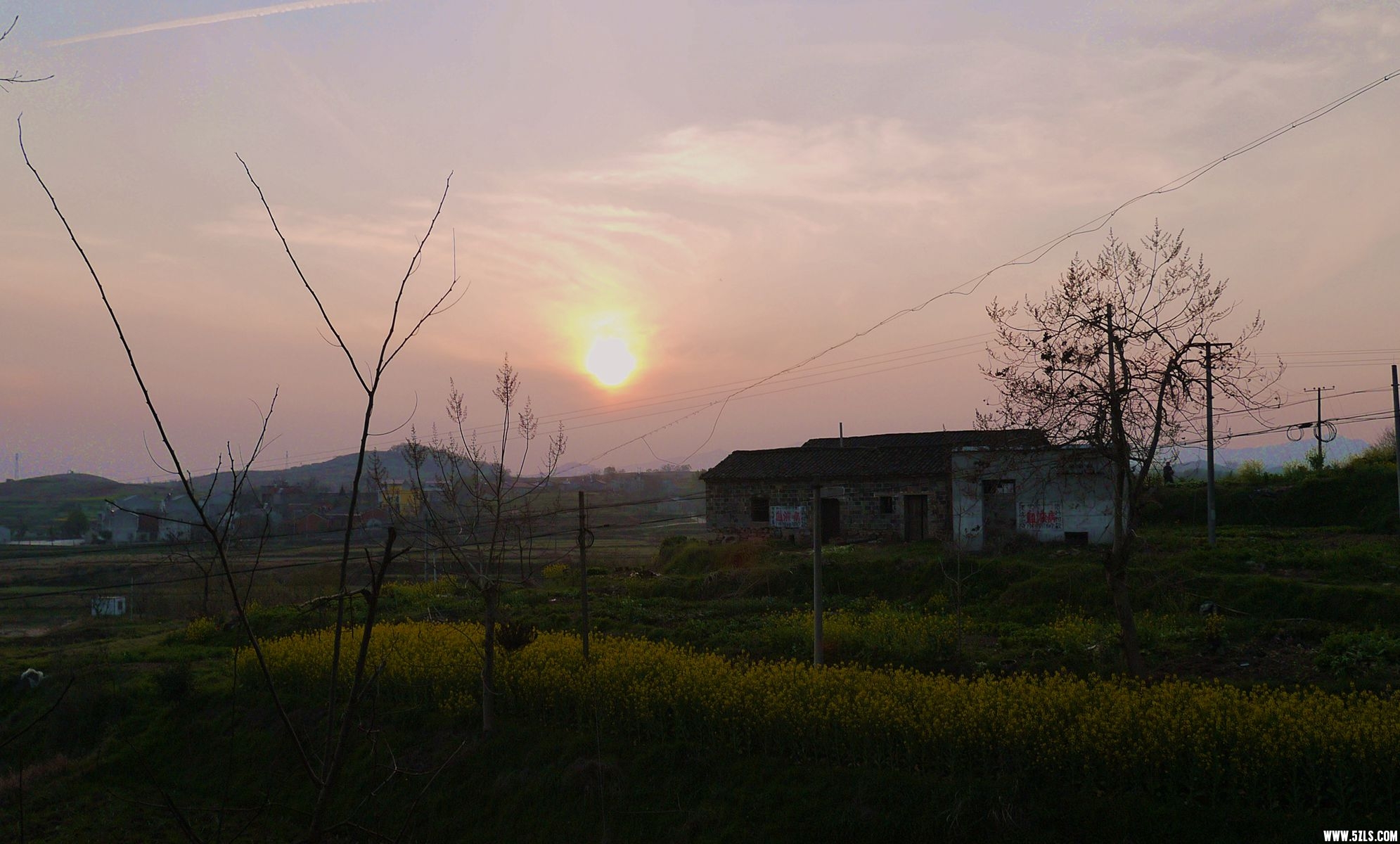 P1120802_.jpg