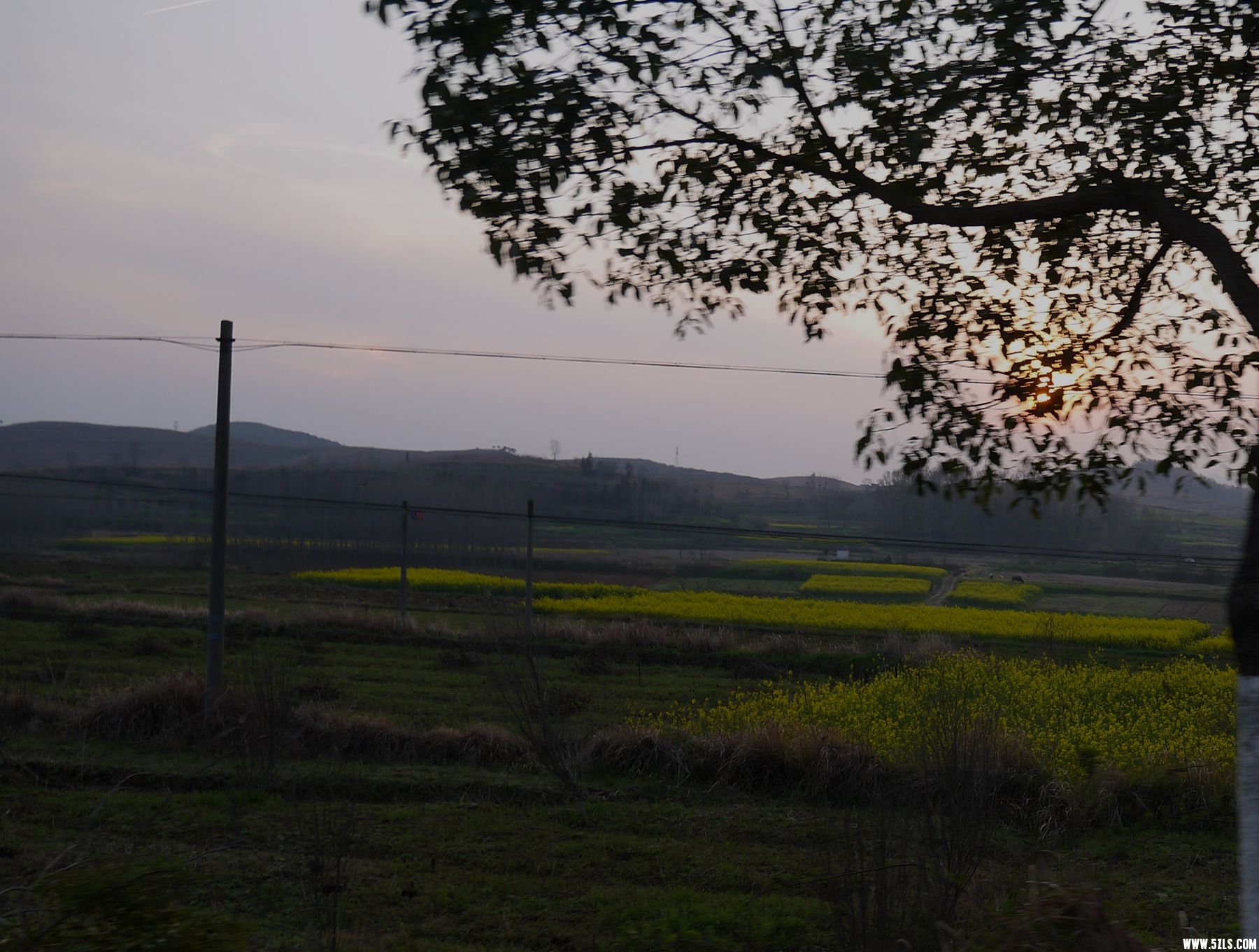 P1120805_.jpg