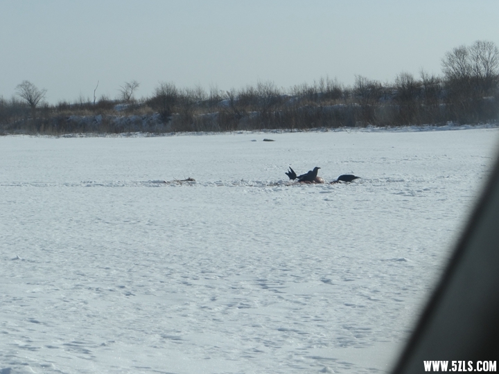 DSC09550_.jpg