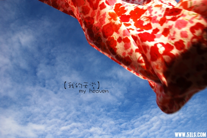 20081031174533.jpg