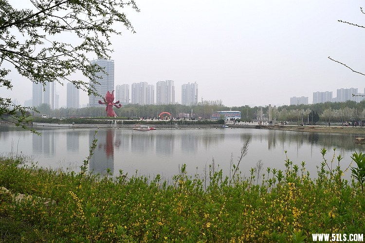 DSC_3420.JPG