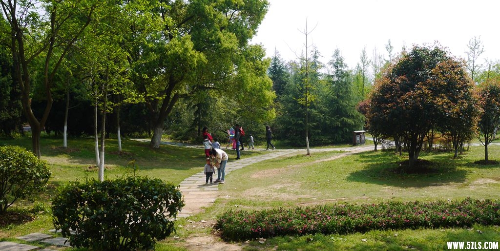 P1130003_副本.jpg