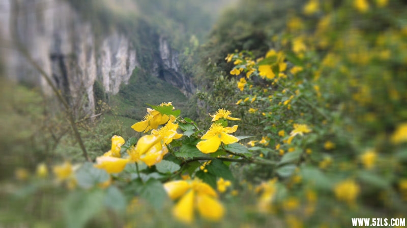 IMG_20150411_110930_HDR.jpg