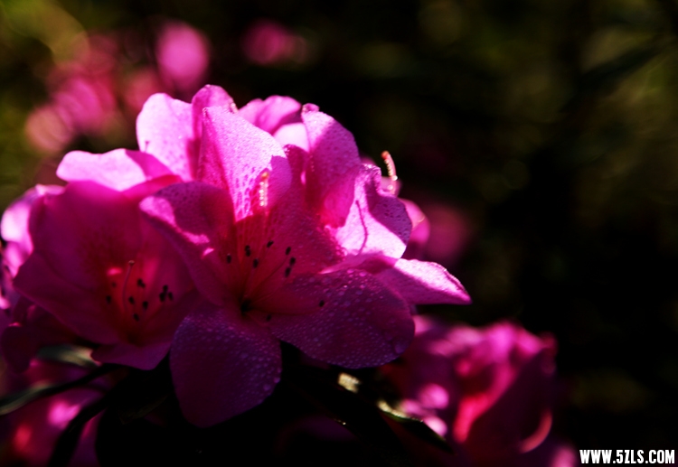 IMG_8283_.jpg