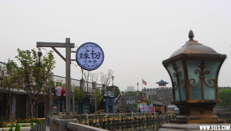 DSC_0995.jpg
