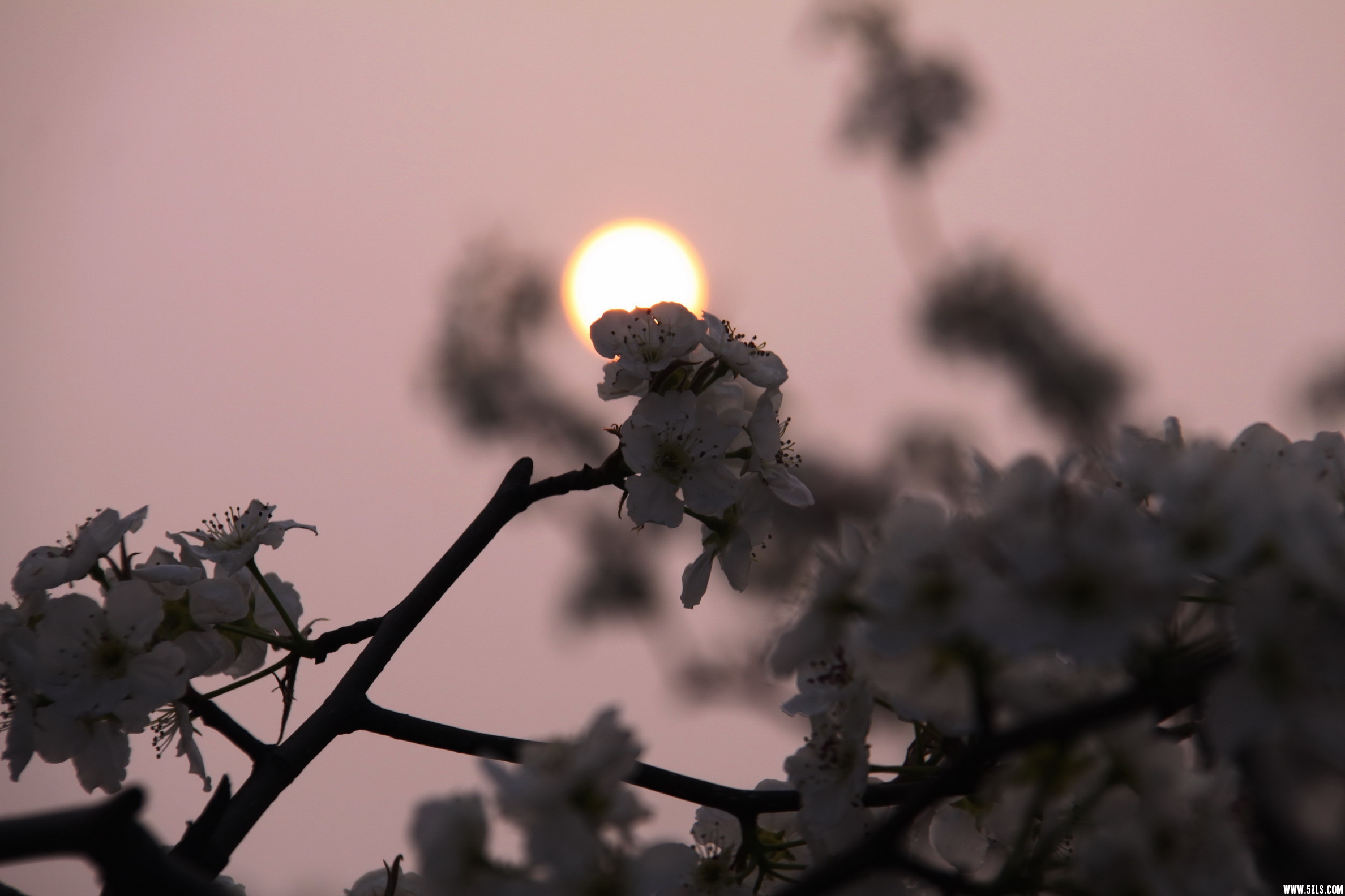 IMG_4228_缩小大小.jpg