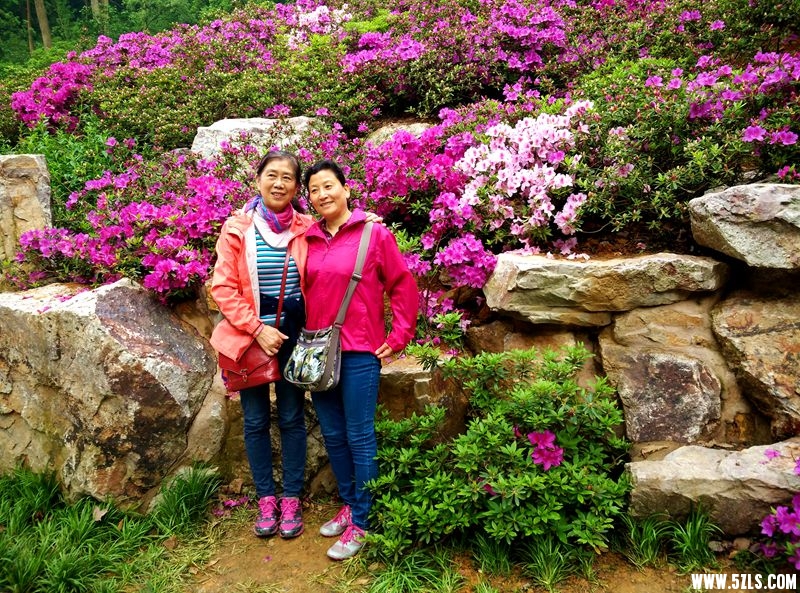 ½ļ (3)IMG_20150421_104814_.jpg