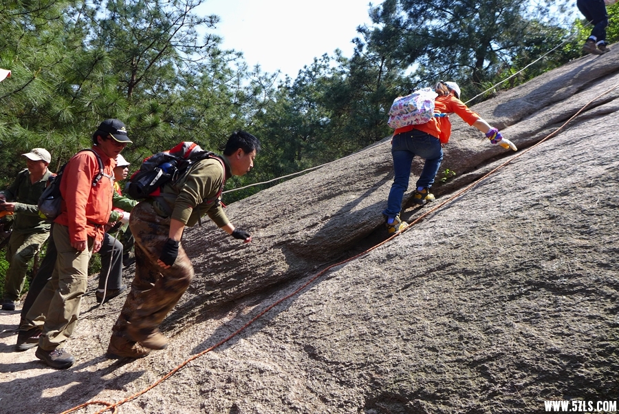 P1310518_.jpg