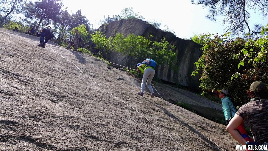 P1310594_.jpg
