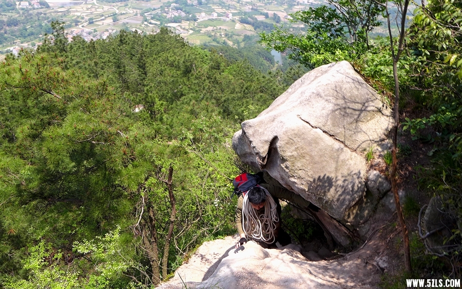 P1310684_.jpg