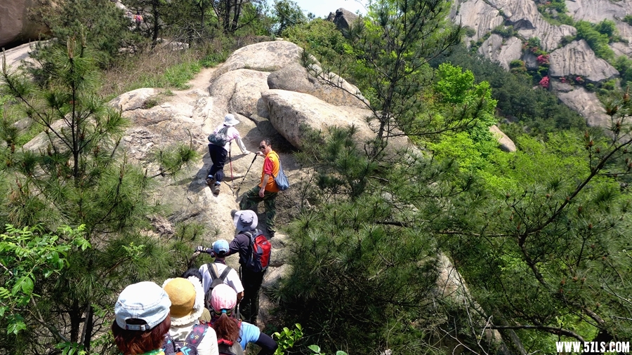 P1310785_.jpg