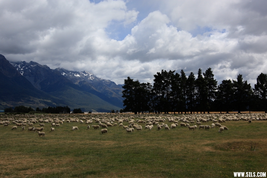 IMG_2069x.JPG