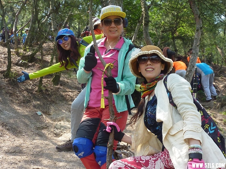 P1390661.jpg