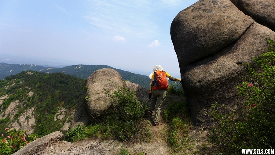 P1310890_.jpg
