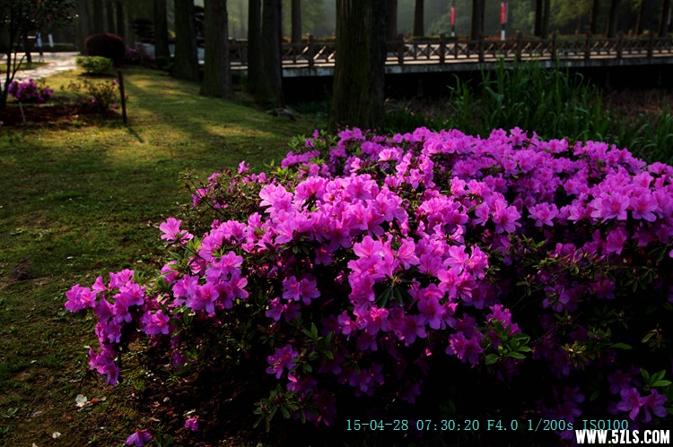 IMG_8948_.jpg