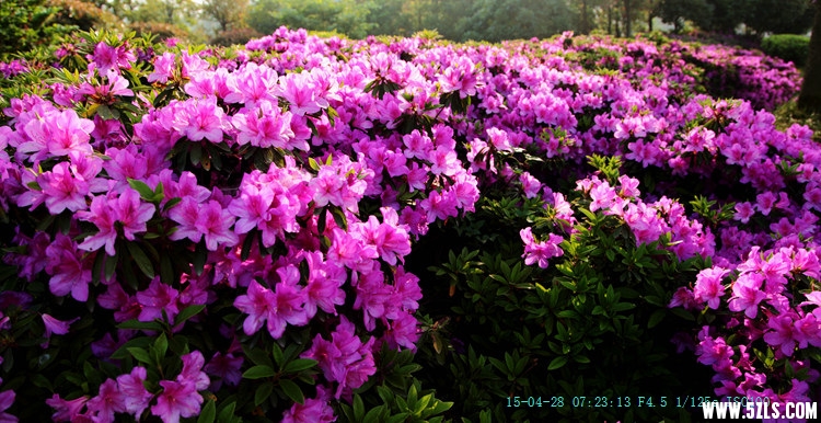 IMG_8944_.jpg