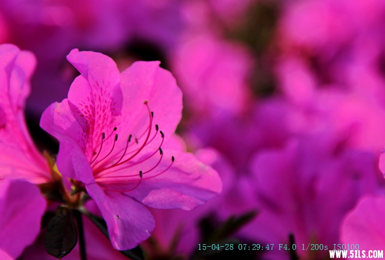 IMG_8947_.jpg