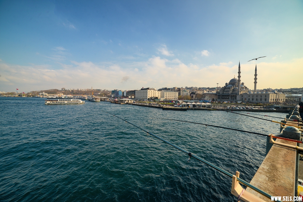 DSC_7985_.jpg