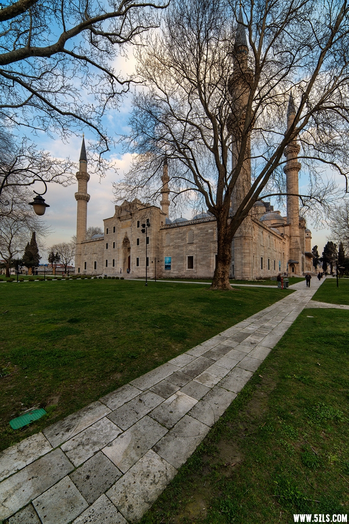 DSC_8131_.jpg