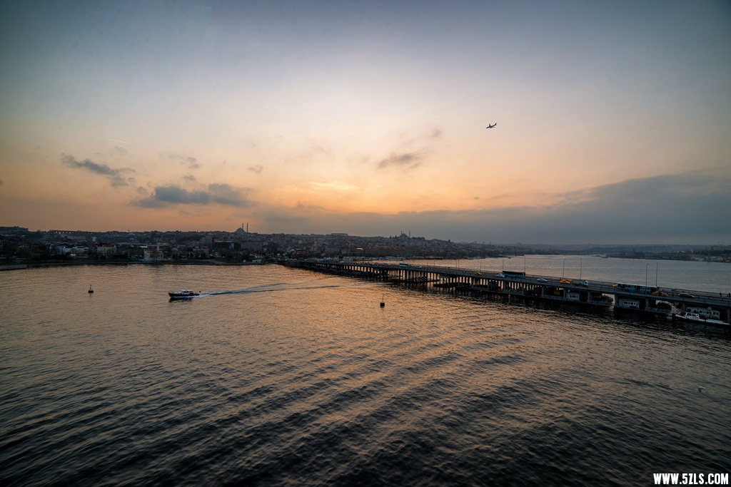 DSC_8145_.jpg