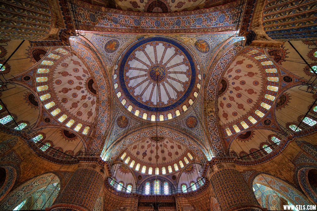 DSC_8162_.jpg