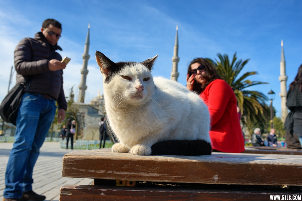 DSC_8181_.jpg