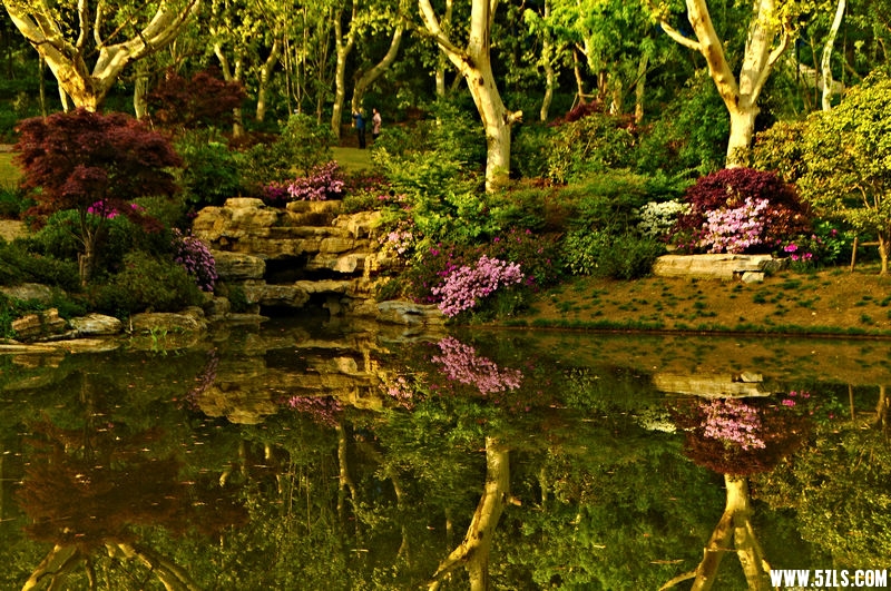 DSC_13331001.jpg