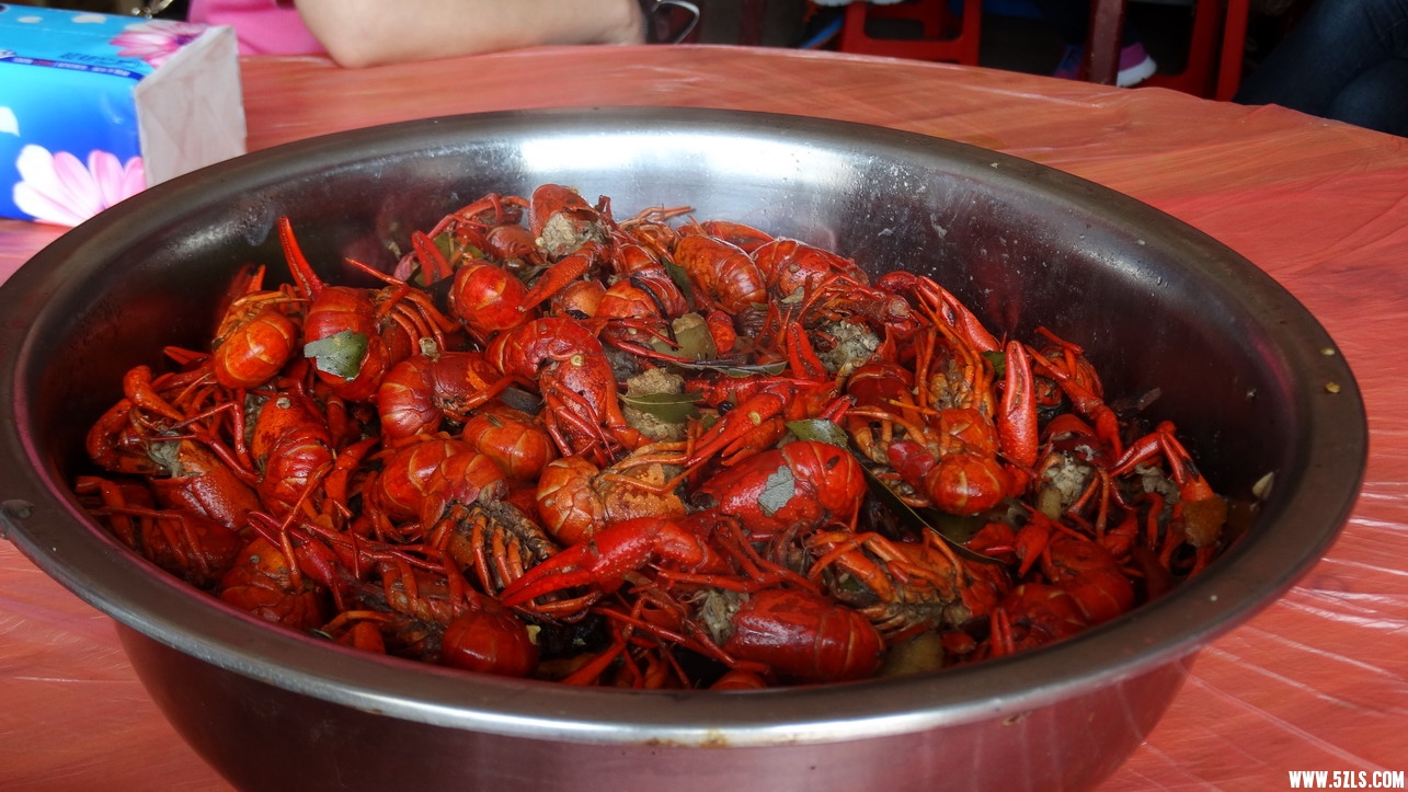 DSC01687_缩小大小.JPG