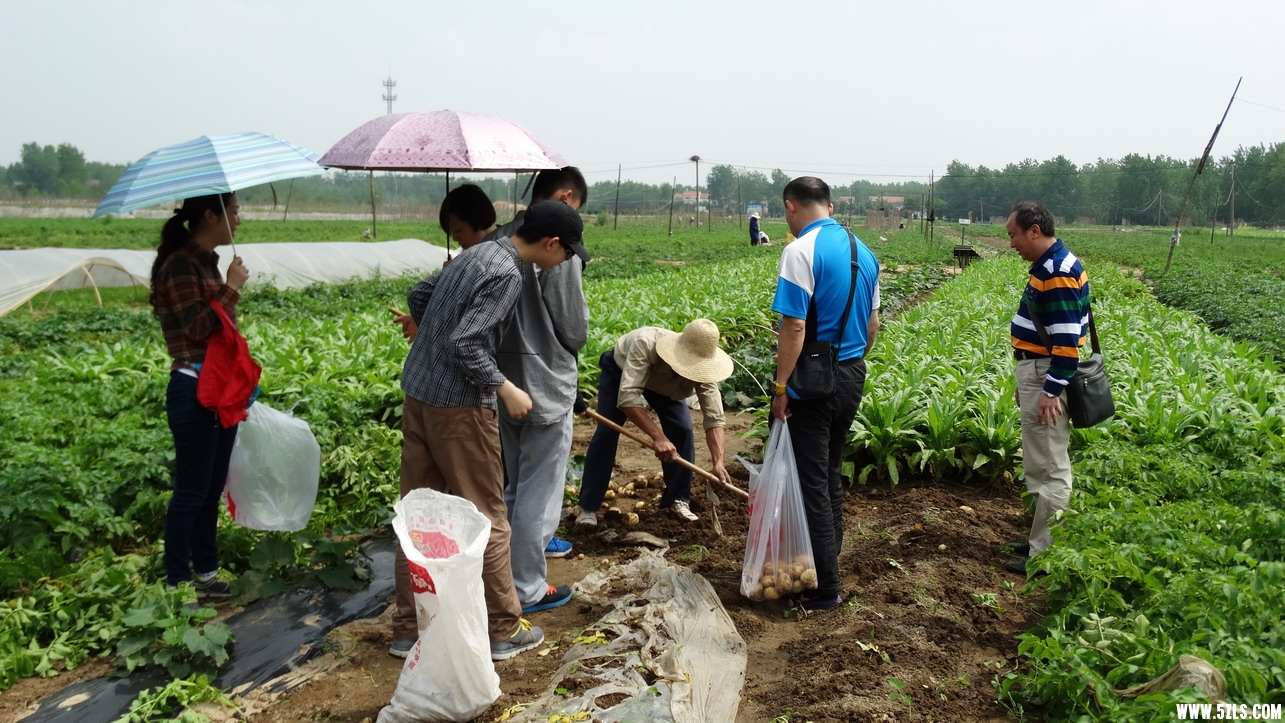 DSC01719_缩小大小.JPG