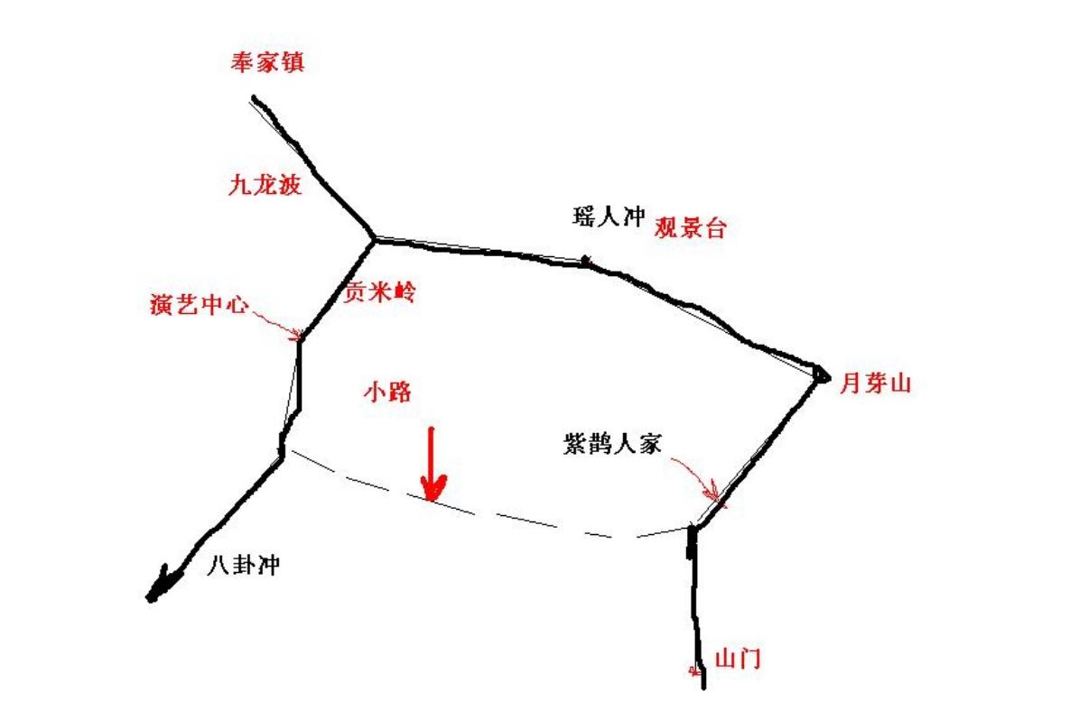 321.JPG