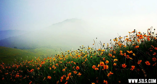 QQͼƬ20150511103456.png
