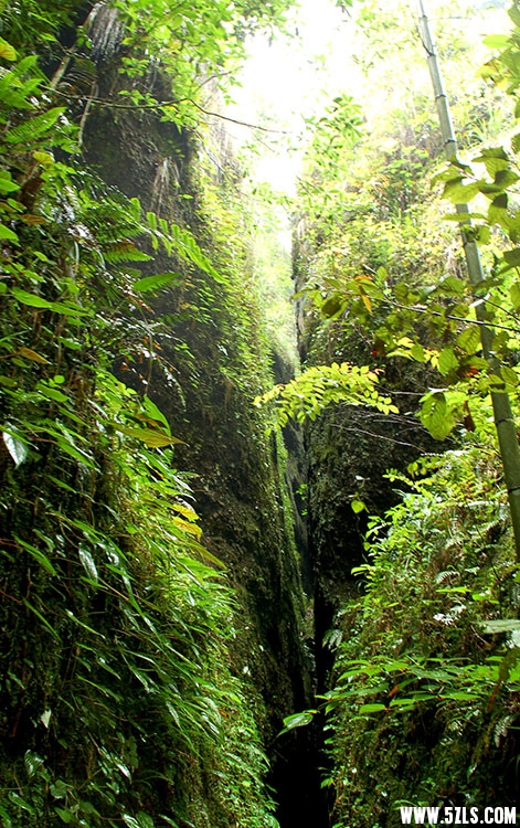 DSC_0136.jpg