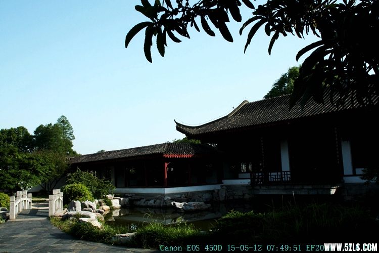 IMG_8632_.jpg