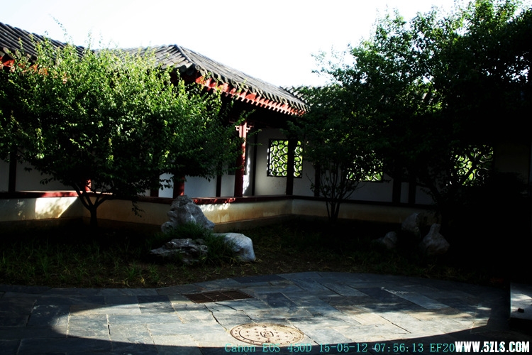IMG_8638_.jpg