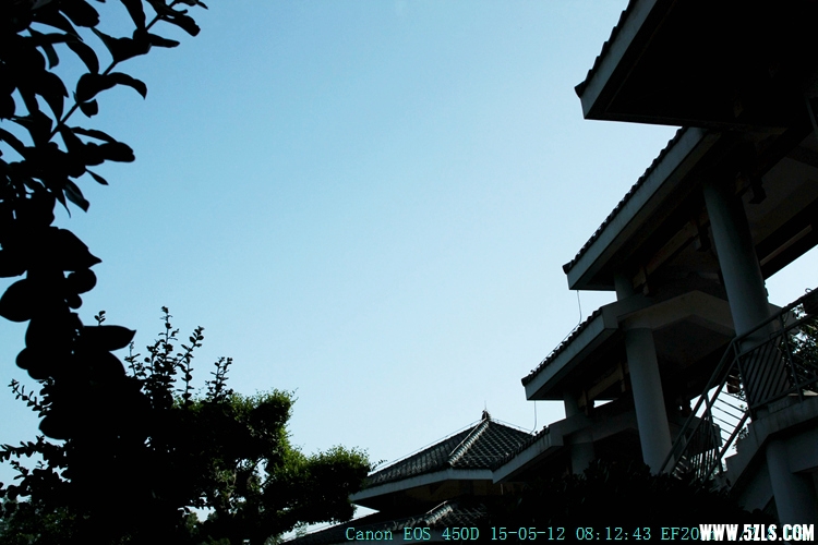 IMG_8643_.jpg