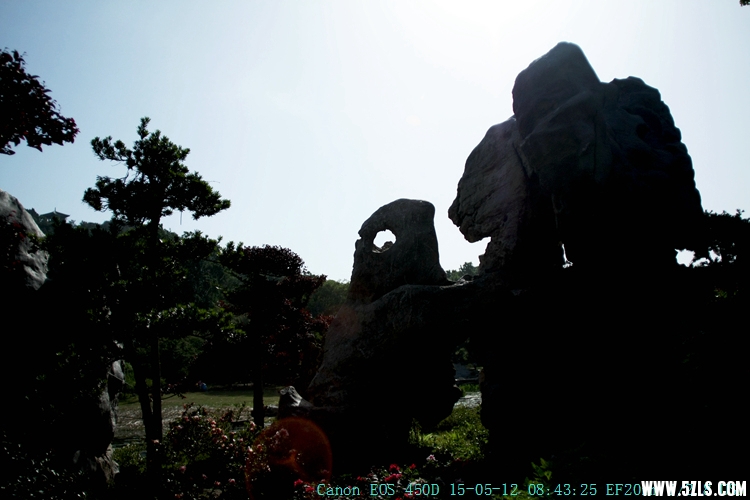 IMG_8669_.jpg