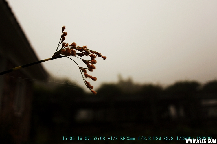 IMG_9162_.jpg