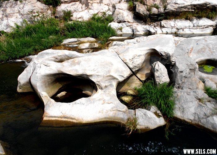 DSCN9031.JPG