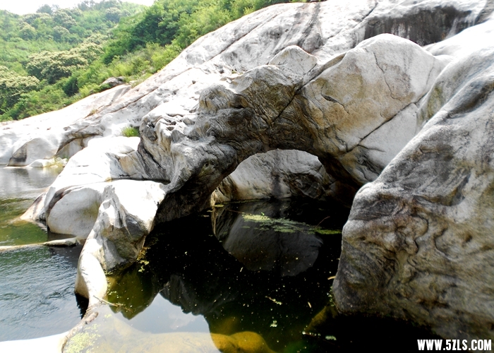 DSCN9039.JPG