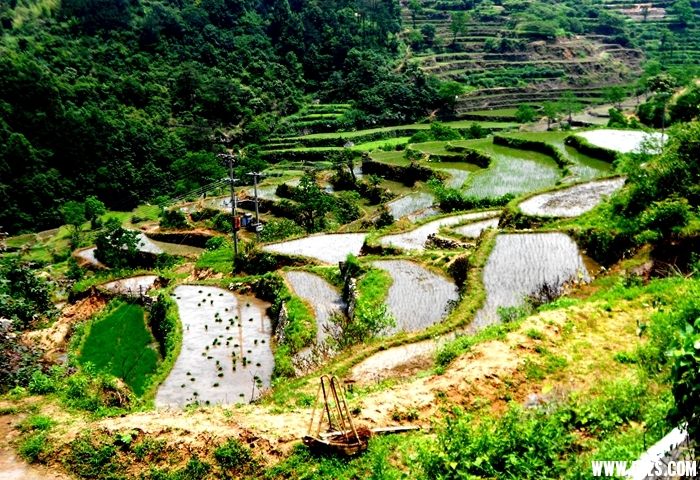 DSCN9069.JPG